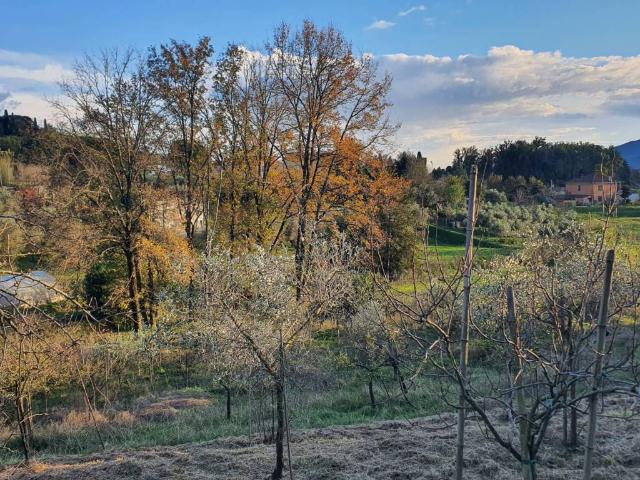 Terreno in vendita a Grisei, Sarzana