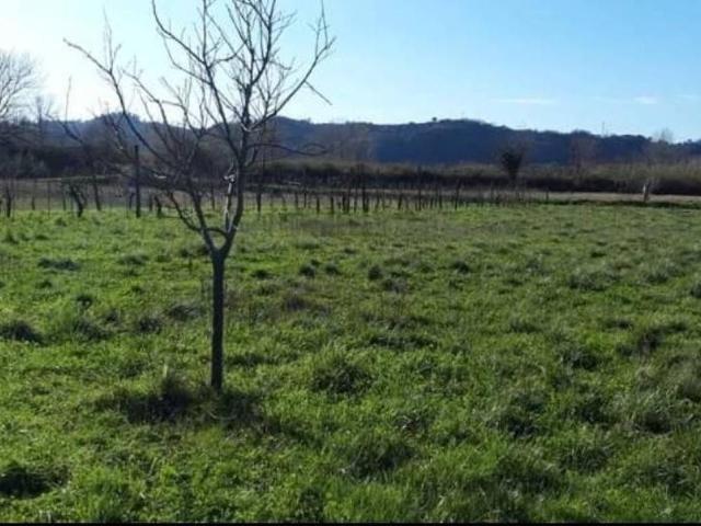 Terreno in vendita a Sarzana, Liguria