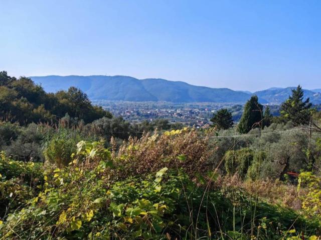 Terreno in vendita a San Lazzaro, Sarzana
