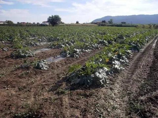 Terreno in vendita a San Lazzaro, Sarzana