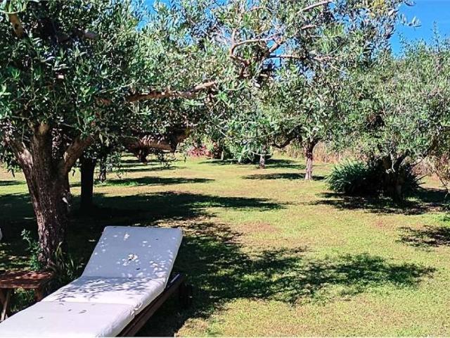 Terreno in vendita a Sarzana, Liguria