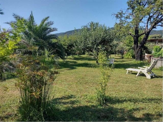 Terreno in vendita a Sarzana, Liguria