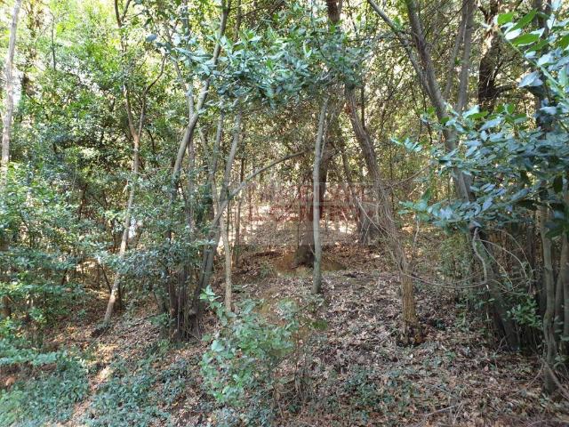 Terreno in vendita a Nave, Sarzana