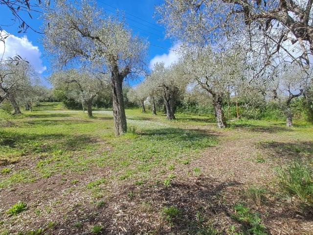 Terreno in vendita a Olmedo, Sardigna/Sardegna