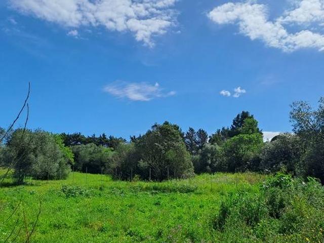Terreno in vendita a San Giovanni, Cala Di Volpe