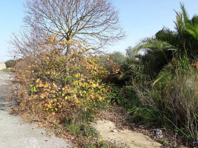 Terreno in vendita a Predda Niedda, Cala Di Volpe