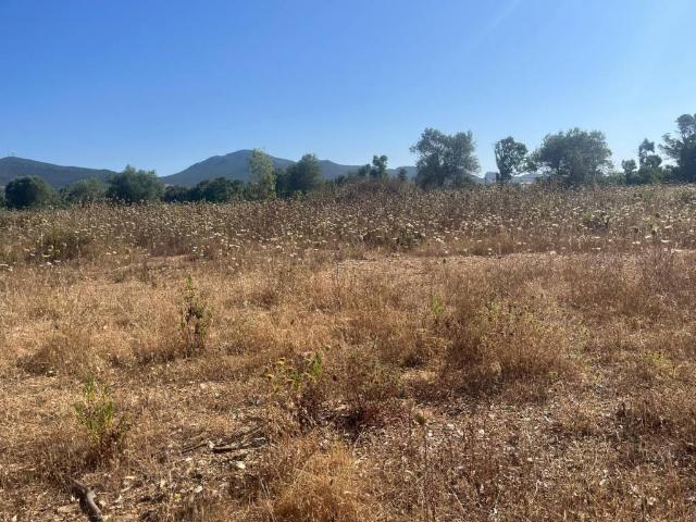 Terreno in vendita a Cala Di Volpe, Sardigna/Sardegna