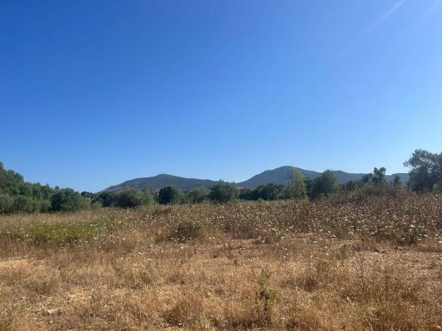 Terreno in vendita a Cala Di Volpe, Sardigna/Sardegna