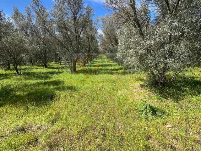 Terreno in vendita a Caniga, Cala Di Volpe