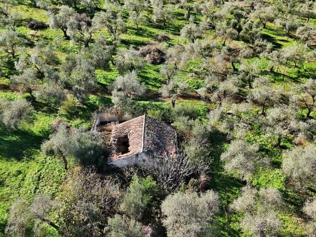 Terreno in vendita a Cala Di Volpe, Sassari