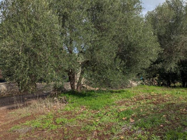 Terreno in vendita a Cala Di Volpe, Sardigna/Sardegna