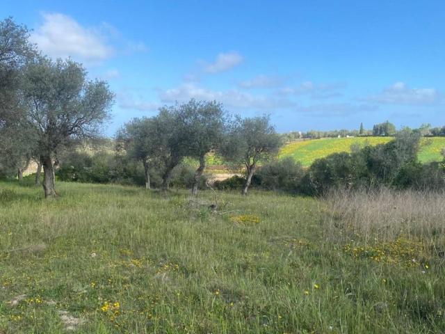 Terreno in vendita a Cala Di Volpe, Sardigna/Sardegna