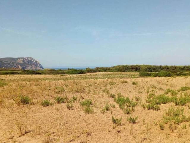 Terreno in vendita a Cala Di Volpe, Sardigna/Sardegna