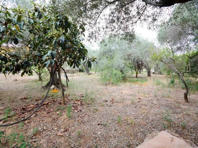 Terreno in vendita a San Giovanni, Cala Di Volpe