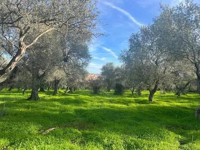 Terreno in vendita a San Giovanni, Cala Di Volpe