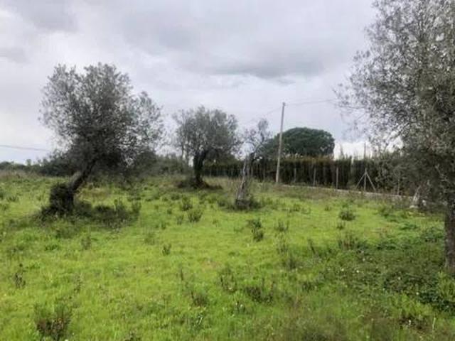 Terreno in vendita a Cala Di Volpe, Sardigna/Sardegna