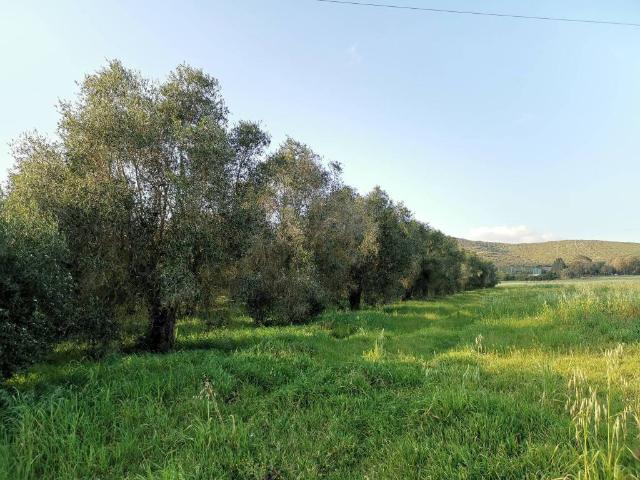 Terreno in vendita a Cala Di Volpe, Sardigna/Sardegna