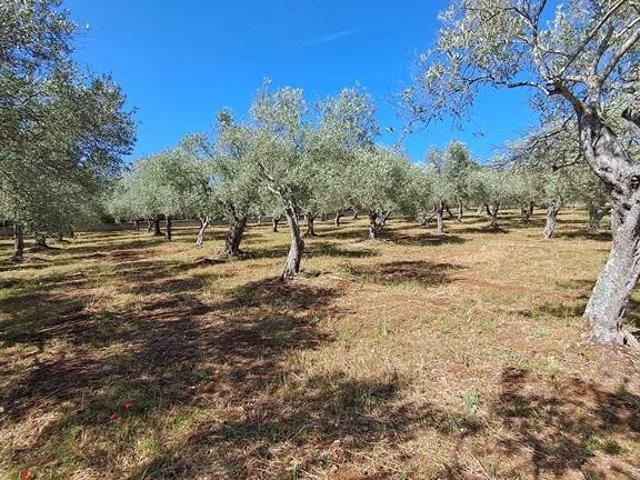 Terreno in vendita a Cala Di Volpe, Sardigna/Sardegna