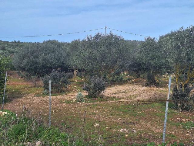 Terreno in vendita a Serra Secca, Cala Di Volpe