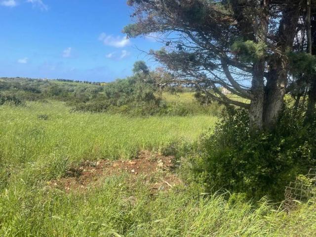 Terreno in vendita a Ottava, Sassari