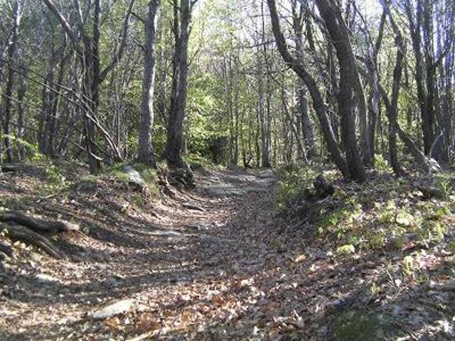 Terreno in vendita a Sassello, Liguria