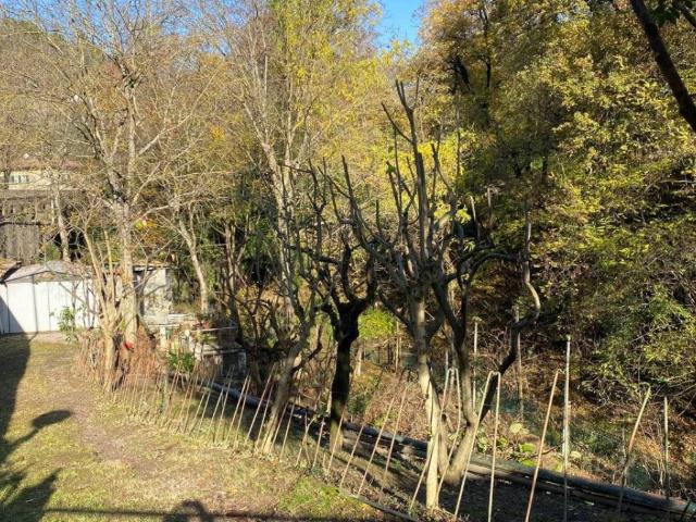 Terreno in vendita a Unione dei comuni Valli del Reno, Lavino e Samoggia, Sasso Marconi