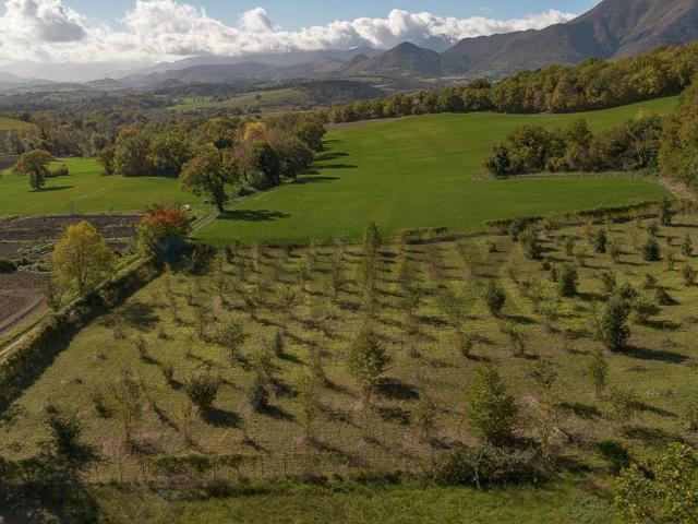 Terreno in vendita a Marche, Ancona