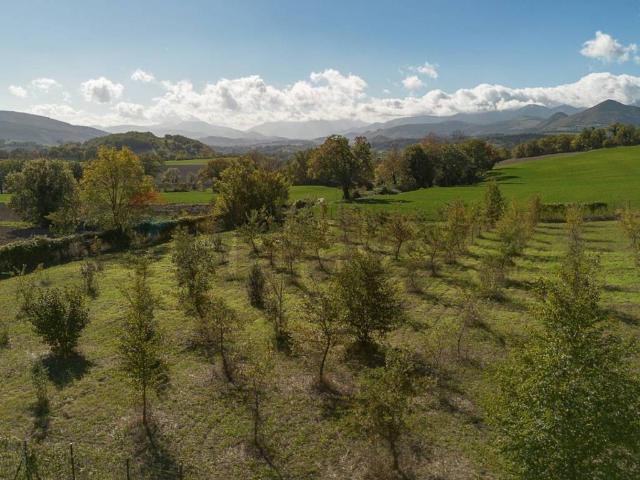 Terreno in vendita a Marche, Ancona