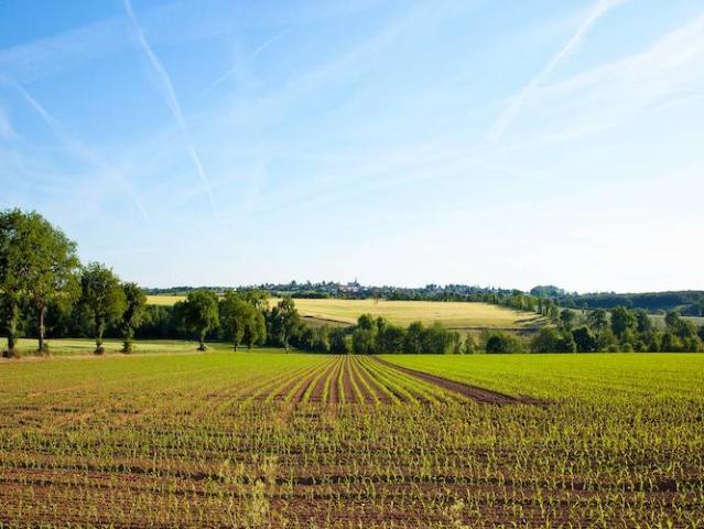 Terreno in vendita a Unione dei comuni del Distretto Ceramico, Sassuolo
