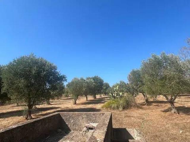 Terreno in vendita a Puglia, Taranto