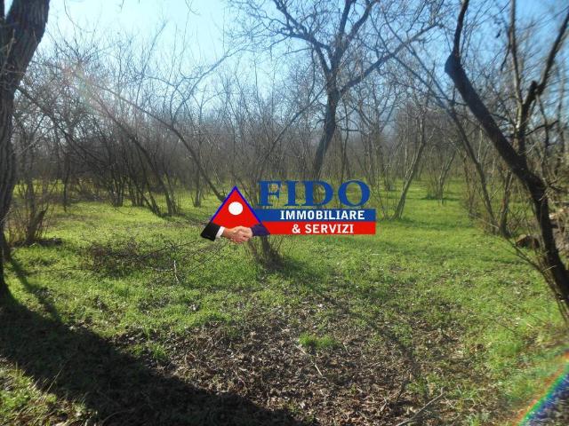Terreno in vendita a Saviano, Campania