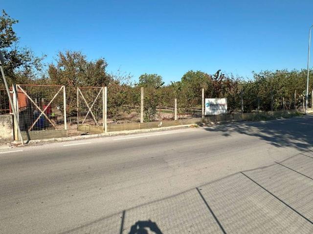 Terreno in vendita a Saviano, Campania