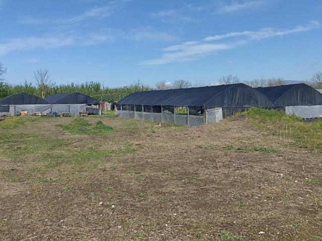 Terreno in vendita a Saviano, Campania