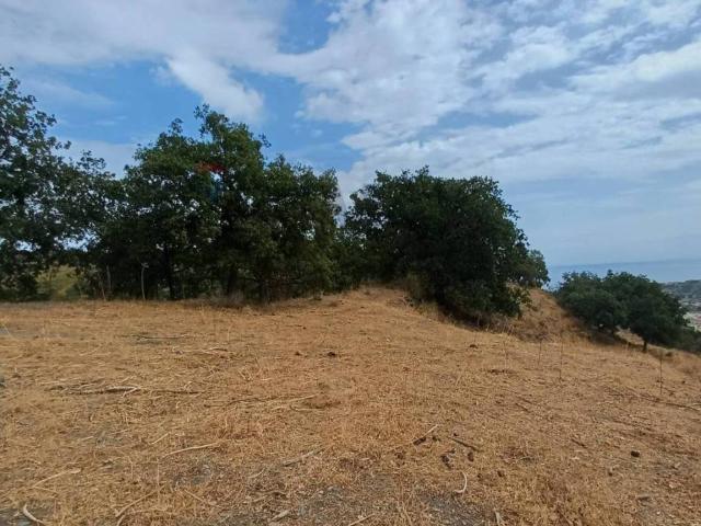 Terreno in vendita a Savoca, Sicilia