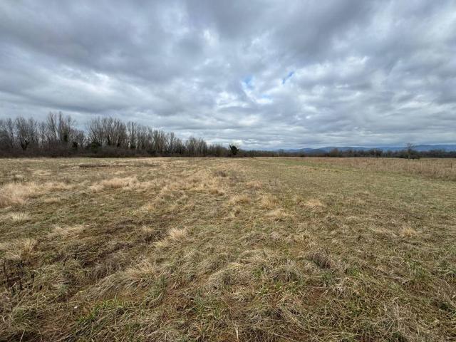 Terreno in vendita a Savogna D'isonzo, Friuli-Venezia Giulia