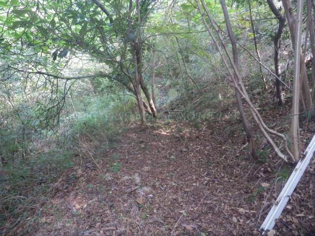 Terreno in vendita a Santuario, Albisola Capo