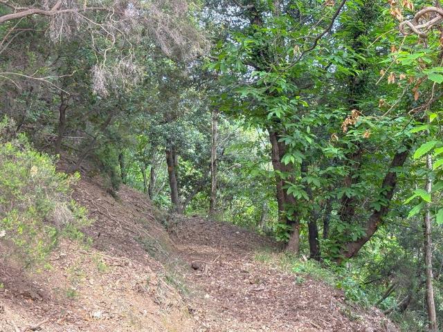 Terreno in vendita a Albisola Capo, Liguria