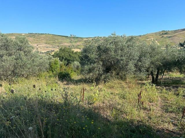 Terreno in vendita a Scafa, Abruzzo