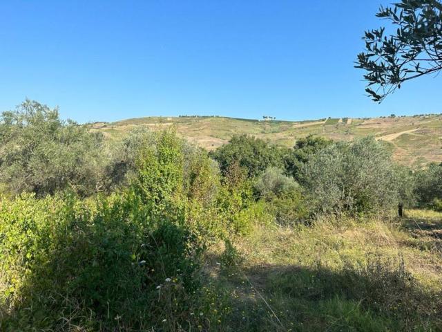 Terreno in vendita a Scafa, Abruzzo