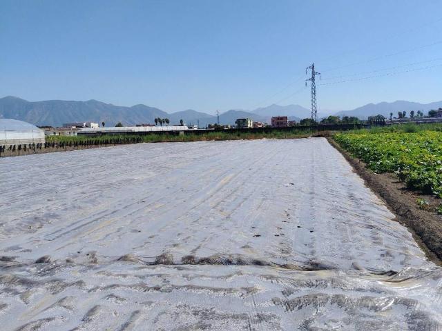 Terreno in vendita a San Pietro, Scafati