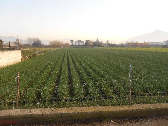 Terreno in vendita a Scafati, Campania