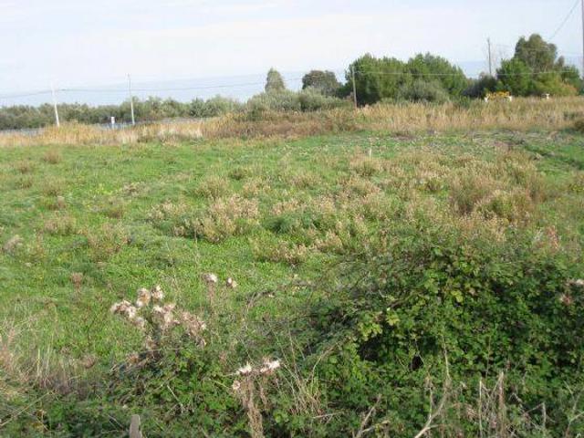 Terreno in vendita a Calabria, Cosenza