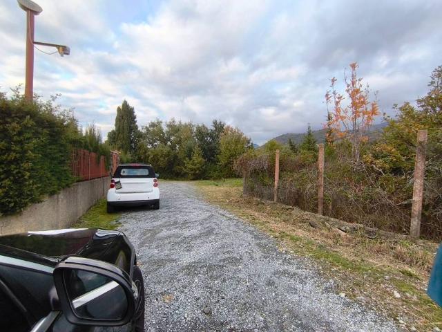 Terreno in vendita a Monticello, Calabria