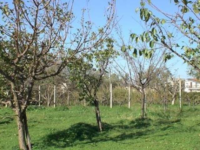 Terreno in vendita a Centro Storico, Calabria