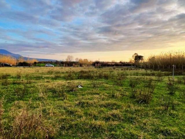 Terreno in vendita a Impresa, Calabria