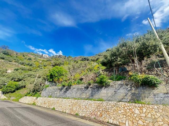 Terreno in vendita a Scaletta Zanclea, Sicilia