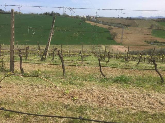 Terreno in vendita a Tresinaro - Secchia, Re