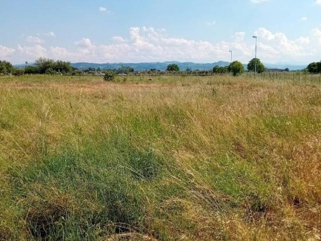 Terreno in vendita a Bosco, Scandiano