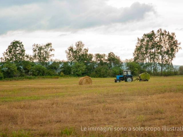 Terreno in vendita a Tresinaro - Secchia, Re