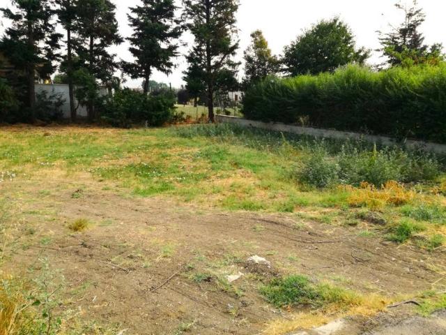 Terreno in vendita a Tresinaro - Secchia, Re